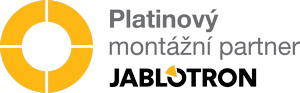 platina-logo